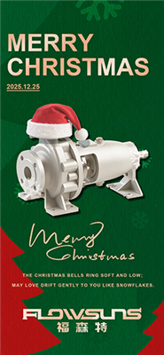 Cyfarchiad Nadolig Flowsun i Bartneriaid: Yn Ddiolchgar Am Y Daith, Yn Cofleidio Gaeaf Cynnes